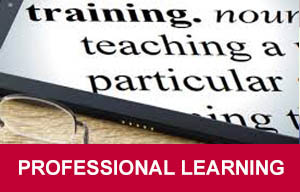 hss-professional-learning-box